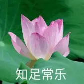 官方：大坂直美会首发搭档吗(大坂直美官宣与费塞特结束合作)|中欧体育官网